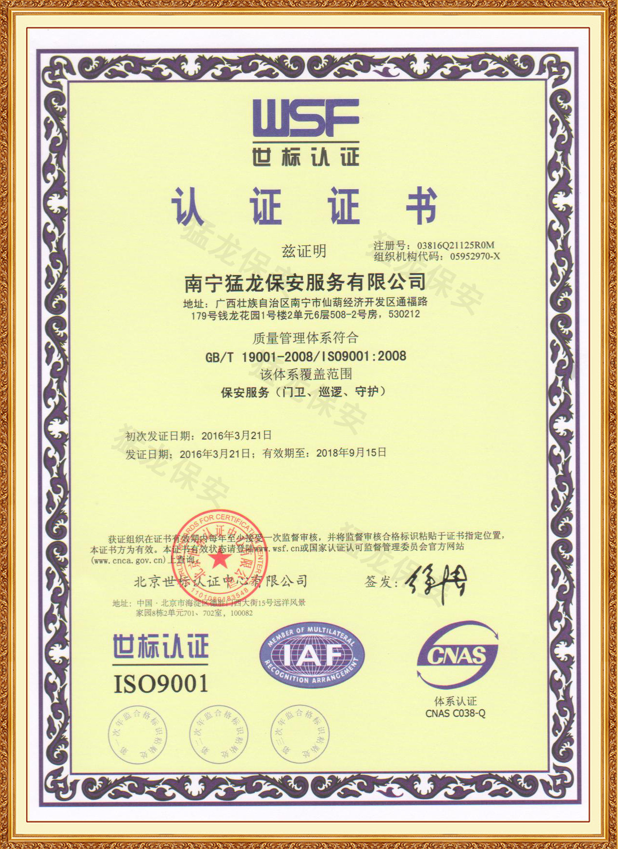 正規91视频观看免费