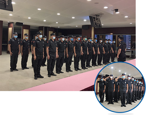 91视频APP免费下载污