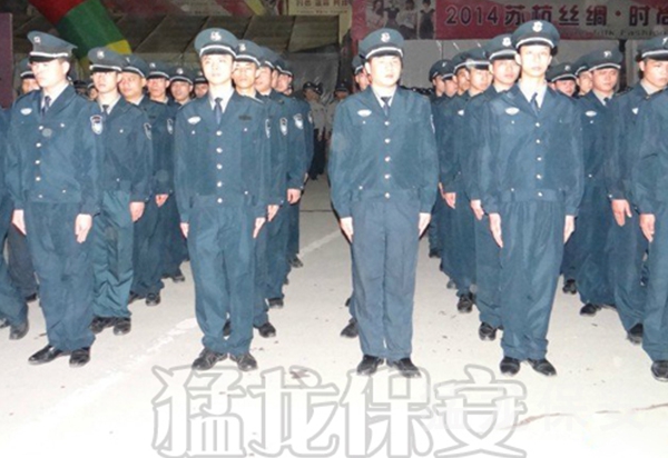 91视频的网站服務