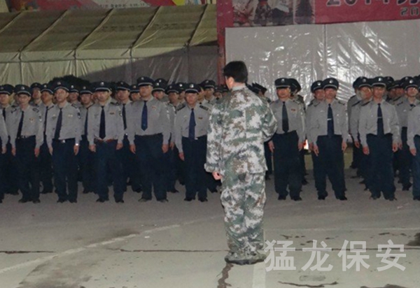 活動91视频的网站