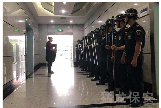 91视频观看免费