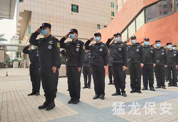 專業91视频观看免费 專業91视频观看免费