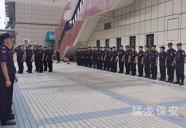 91视频观看免费